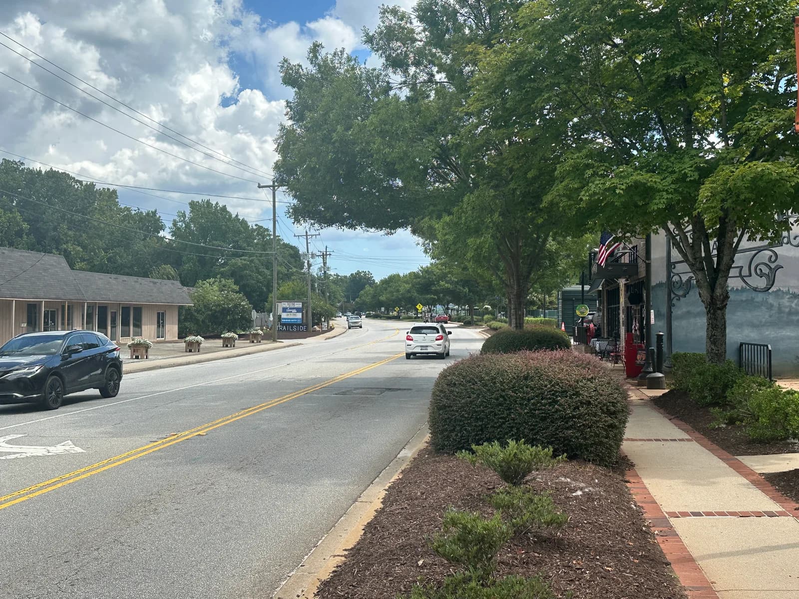 Main Street through downtown Travelers Rest, South Carolina, with a landscaped median, storefronts and the Blue Ridge foothills beyond